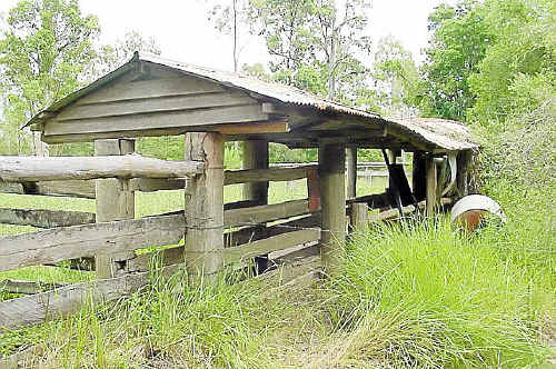 The old Spring Valley public cattle dip at Chatsworth is already too far gone to save, according to Gympie councillors.